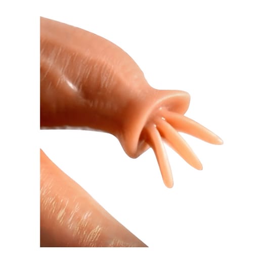 Consolador Vibrador con Lengüeta y Efecto Calor 360° con Control Remoto